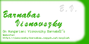 barnabas visnovszky business card